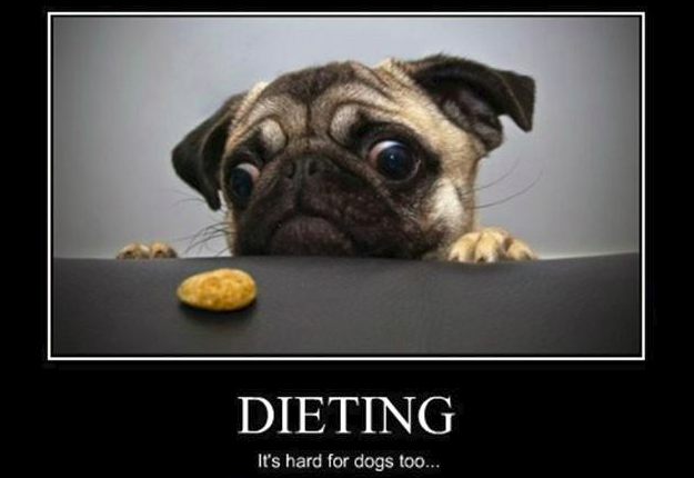 Diet: